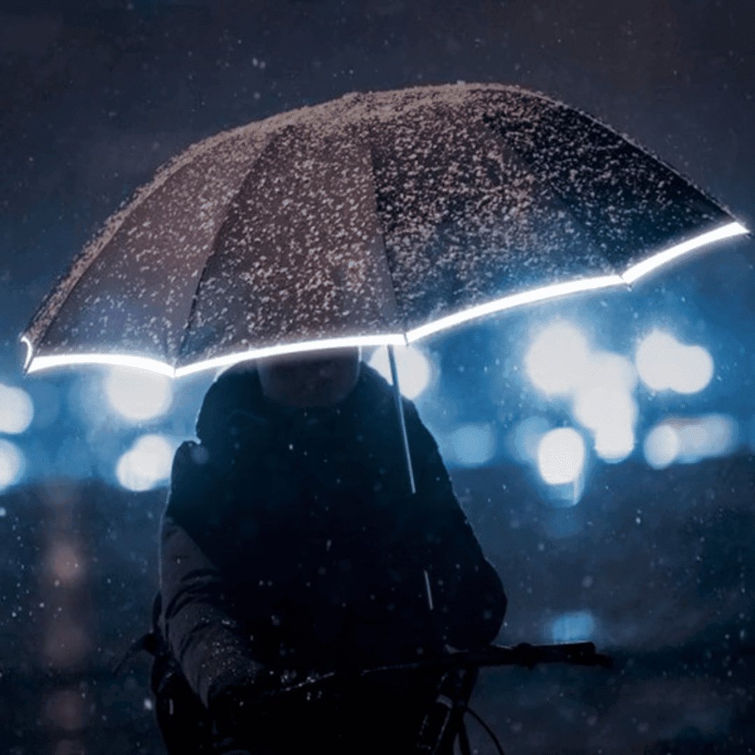 2024 Orchid Unique Windproof LED + Reflective Light Umbrella - Orchid Unique
