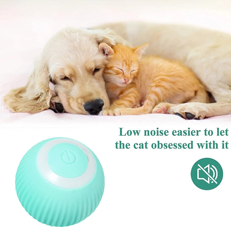 Electric Dog Toys Smart Puppy Ball Toys For Cat Small Dogs Funny Auto Rolling Ball Self-moving Puppy Games Toys Pet Accessories - Orchid Unique