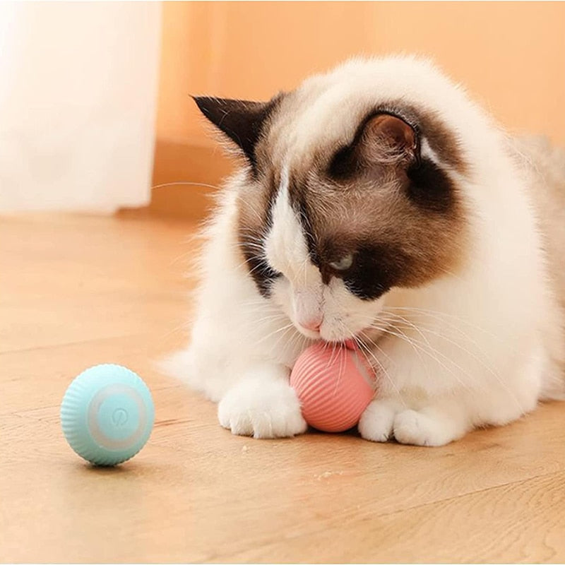 Electric Dog Toys Smart Puppy Ball Toys For Cat Small Dogs Funny Auto Rolling Ball Self-moving Puppy Games Toys Pet Accessories - Orchid Unique