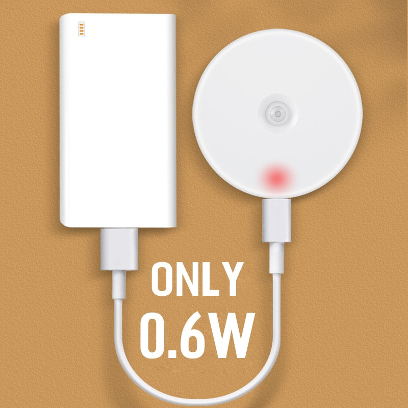 No Drilling / Aroadon Motion Sensor LED Night Light - Orchid Unique