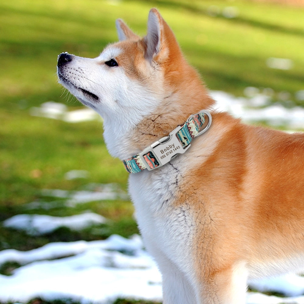 Personalized Dog Accessories Collar - Orchid Unique