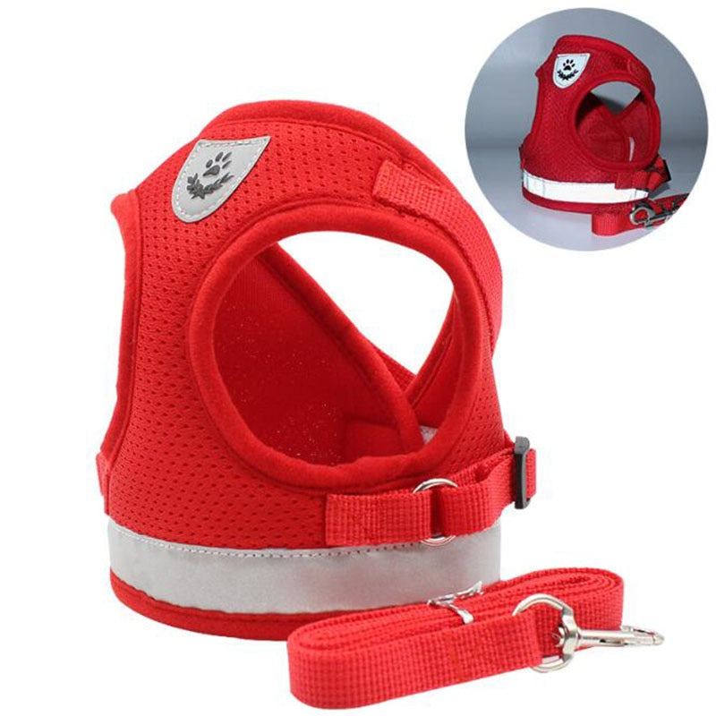 Vest Harness Leash - Orchid Unique