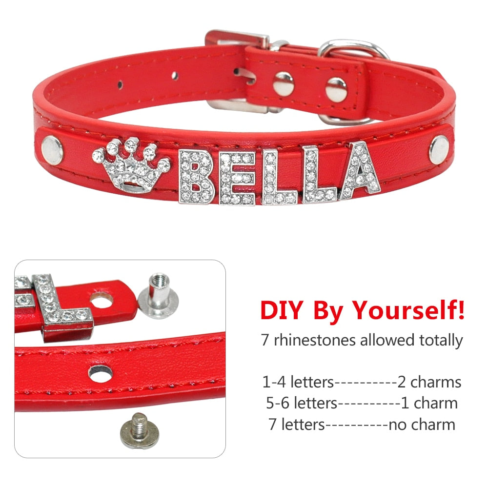 Rhinestone pup collar - Orchid Unique