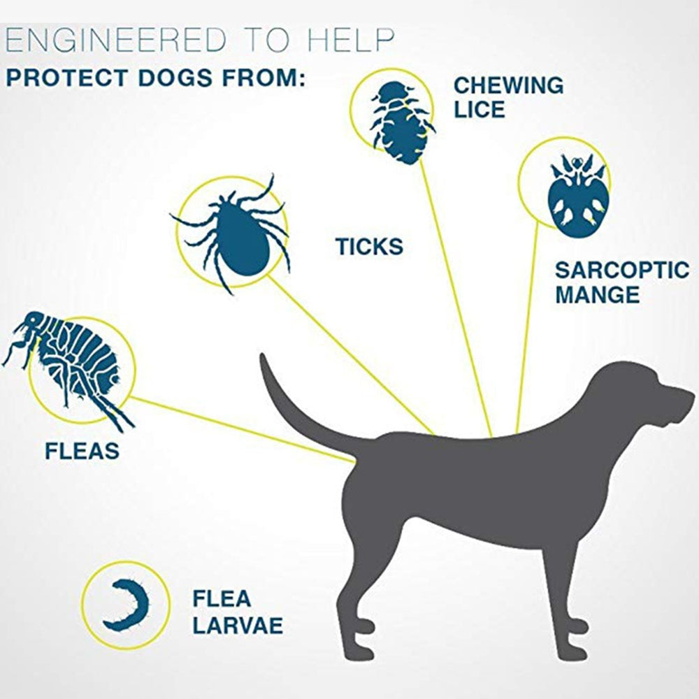 Pet Flea and Tick Collar - Orchid Unique