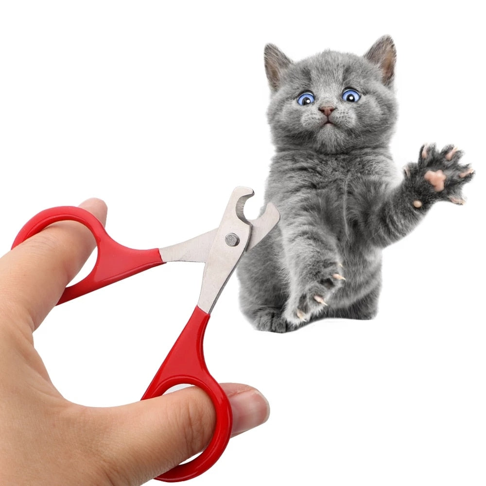 Cat Nail Scissors - Orchid Unique