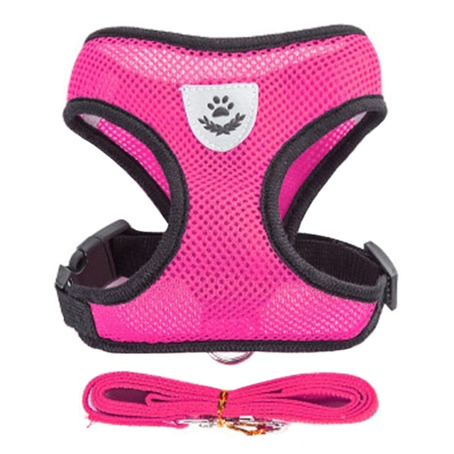 Adjustable Puppy Harness Collar - Orchid Unique