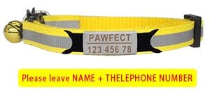 Cat Safety Buckle Collar - Orchid Unique