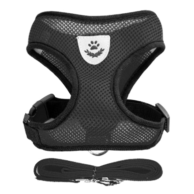 Adjustable Puppy Harness Collar - Orchid Unique