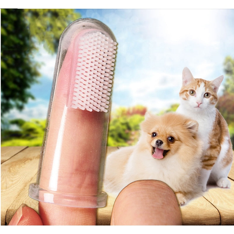 Soft Pet Finger Toothbrush - Orchid Unique