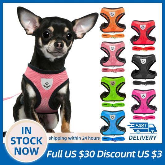 Adjustable Puppy Harness Collar - Orchid Unique