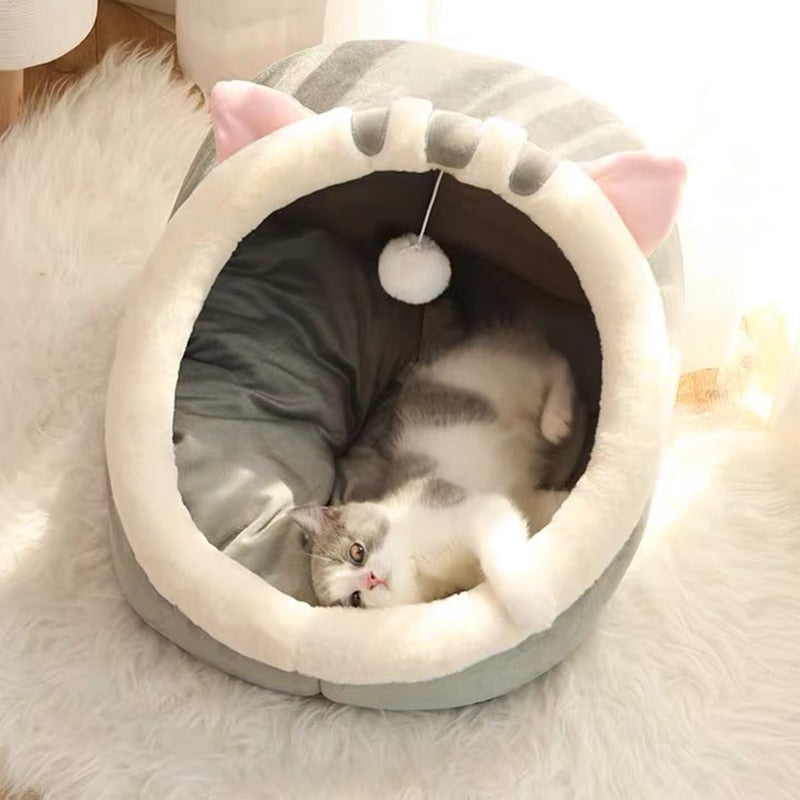 Sweet Cat Beds - Orchid Unique