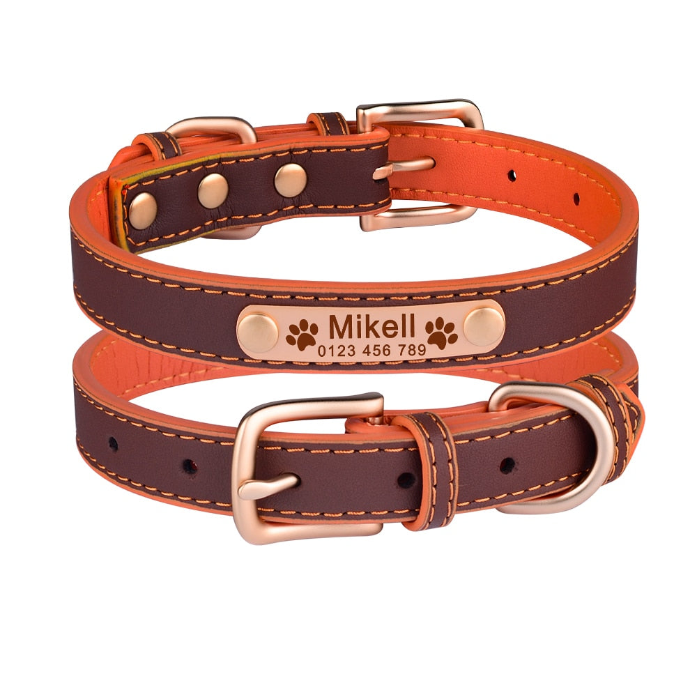 Adjustable personalized dog collar - Orchid Unique