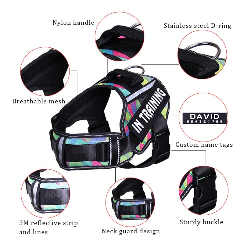 Adjustable Nylon Dog Harness - Orchid Unique