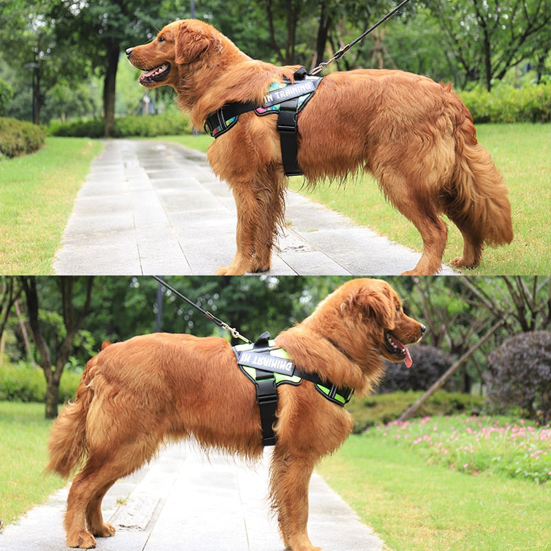 Adjustable Nylon Dog Harness - Orchid Unique