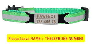 Cat Safety Buckle Collar - Orchid Unique