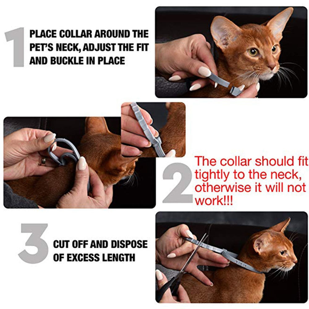 Pet Flea and Tick Collar - Orchid Unique