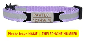 Cat Safety Buckle Collar - Orchid Unique