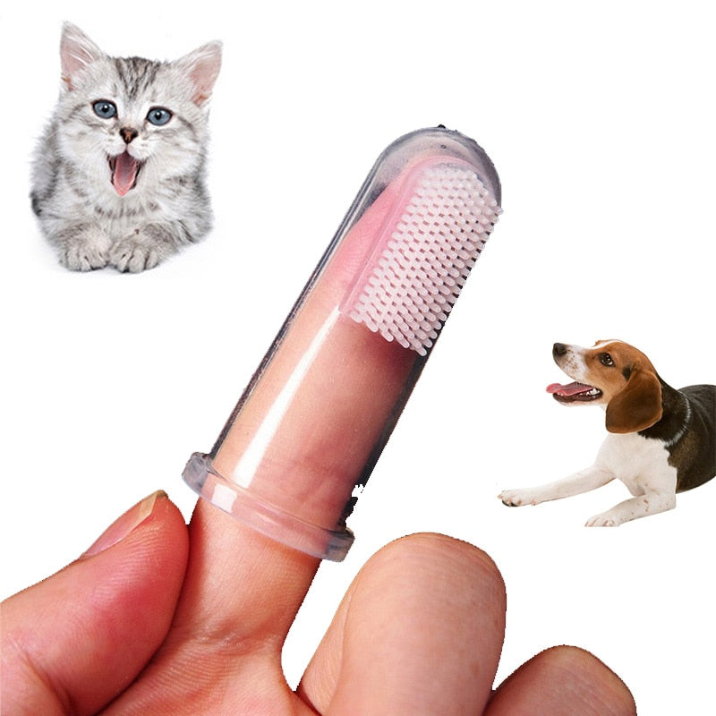 Soft Pet Finger Toothbrush - Orchid Unique