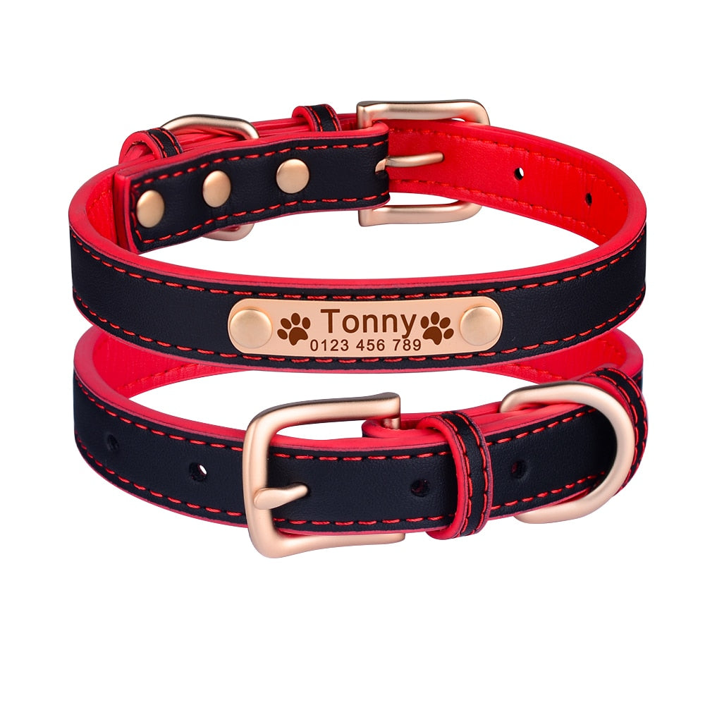 Adjustable personalized dog collar - Orchid Unique