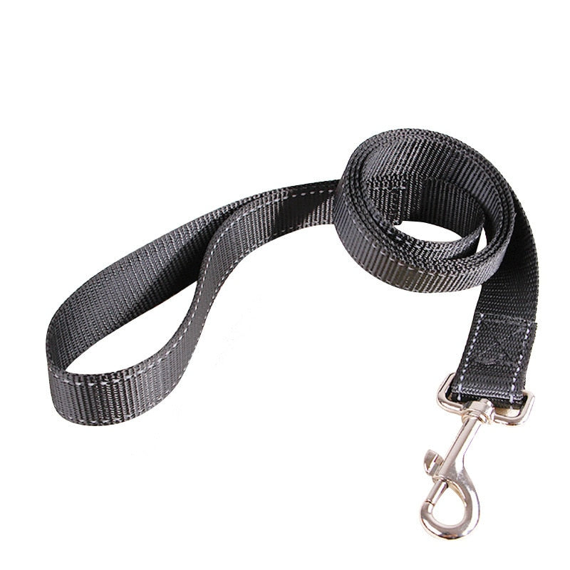 Retractable durable dog leash - Orchid Unique