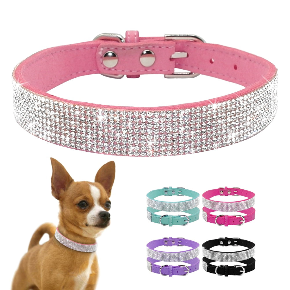 Crystal Glitter Rhinestone Pet Collar - Orchid Unique