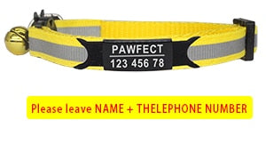 Cat Safety Buckle Collar - Orchid Unique