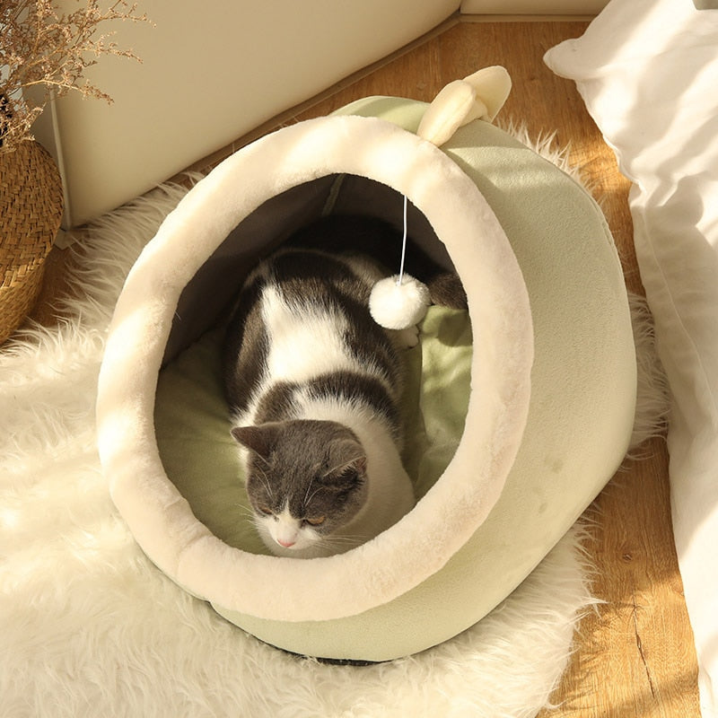 Sweet Cat Beds - Orchid Unique
