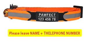Cat Safety Buckle Collar - Orchid Unique