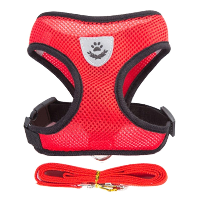 Pet Harness and Leash Combo - Orchid Unique