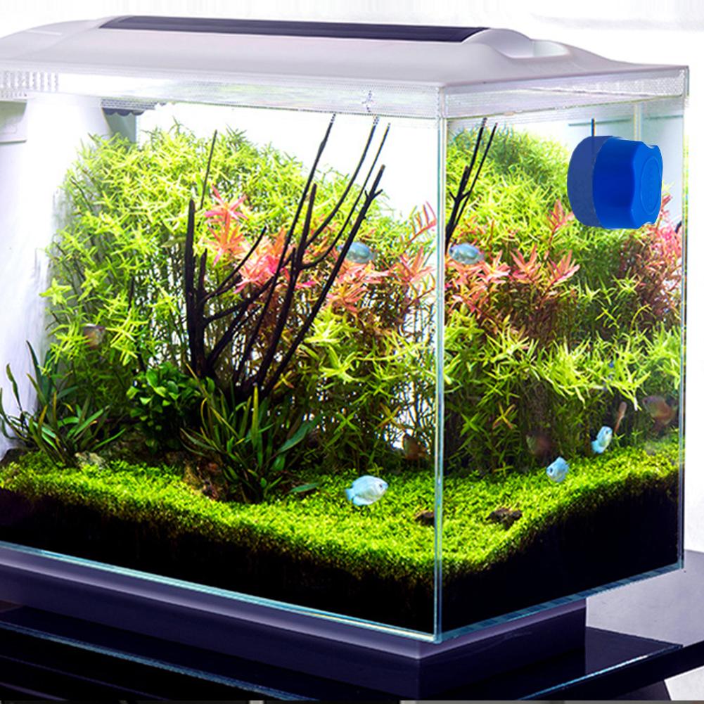 Aquarium magnetic brush - Orchid Unique