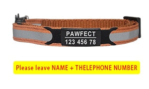 Cat Safety Buckle Collar - Orchid Unique