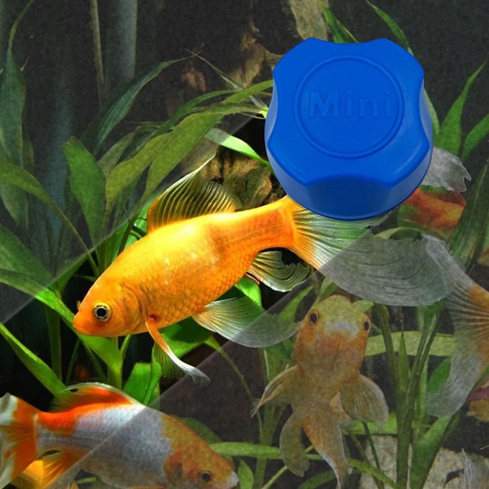 Aquarium magnetic brush - Orchid Unique