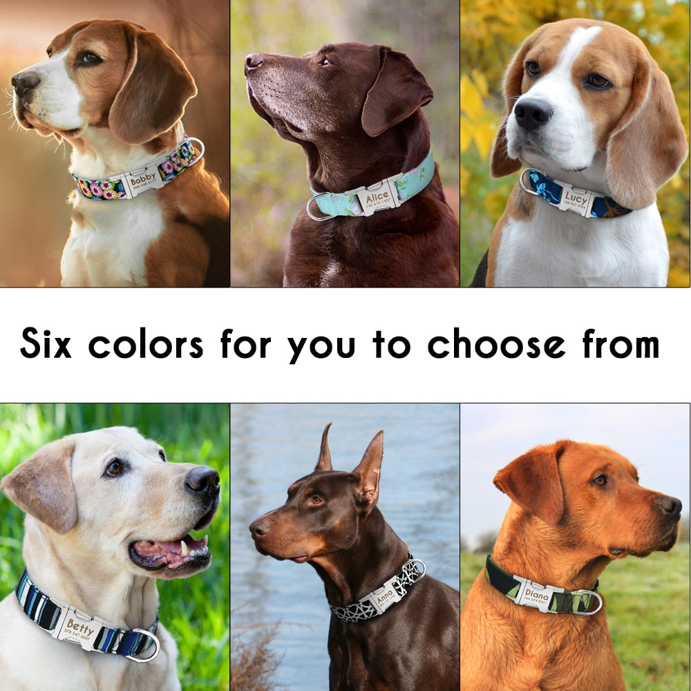 Personalized Dog Accessories Collar - Orchid Unique
