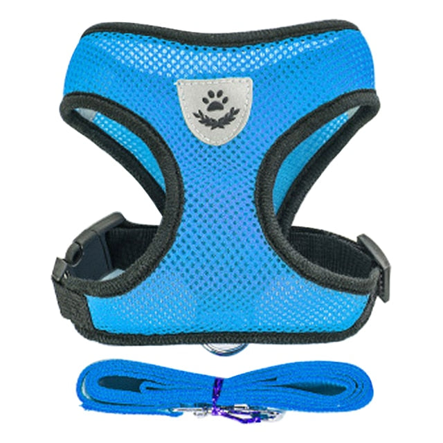 Adjustable Puppy Harness Collar - Orchid Unique