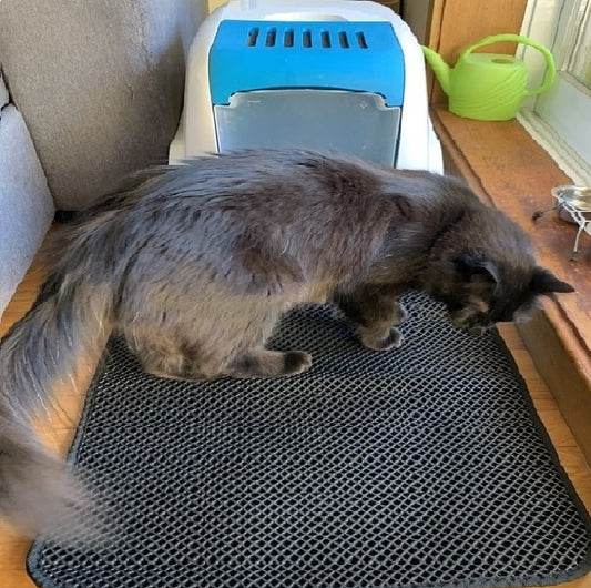 Double Layer Cat beds - Orchid Unique