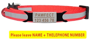 Cat Safety Buckle Collar - Orchid Unique