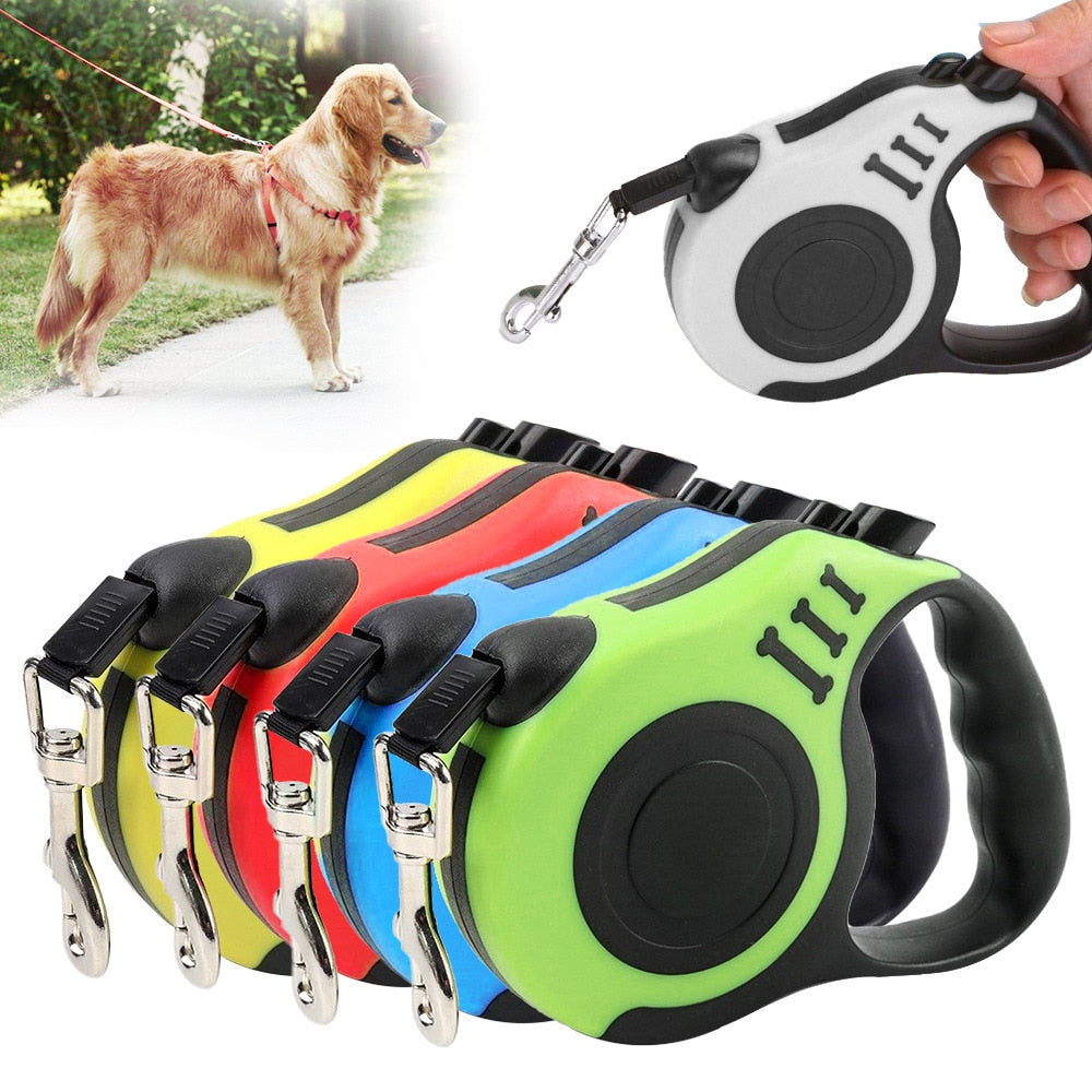 Retractable durable dog leash - Orchid Unique