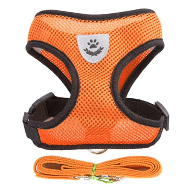 Adjustable Puppy Harness Collar - Orchid Unique