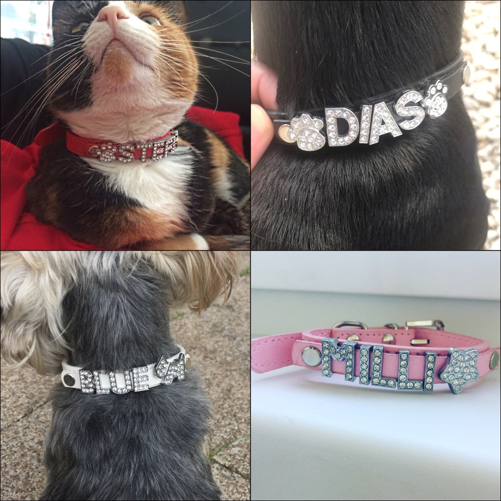 Rhinestone pup collar - Orchid Unique
