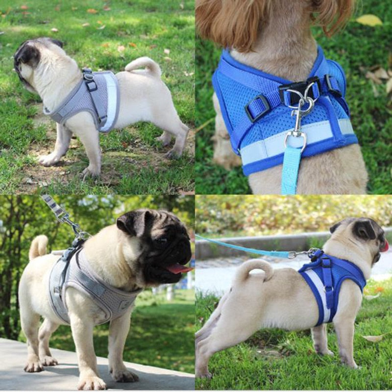 Vest Harness Leash - Orchid Unique