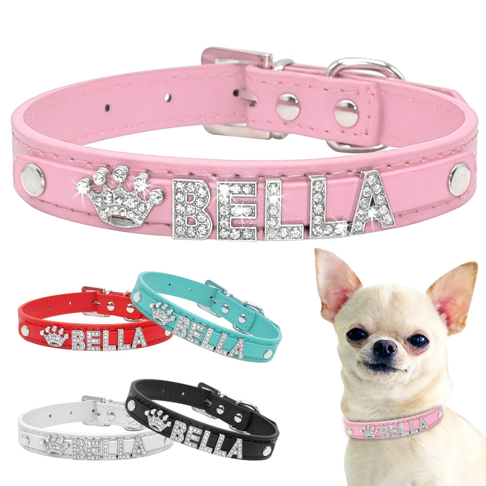 Rhinestone pup collar - Orchid Unique
