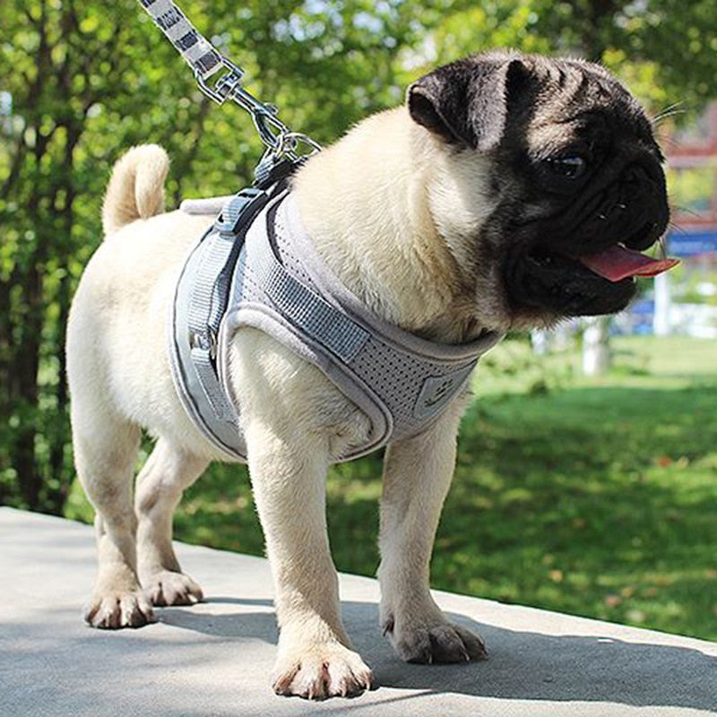 Vest Harness Leash - Orchid Unique