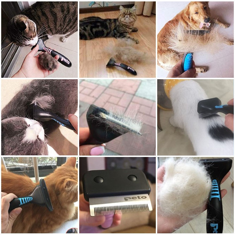 Pet Brush Comb - Orchid Unique