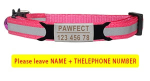 Cat Safety Buckle Collar - Orchid Unique