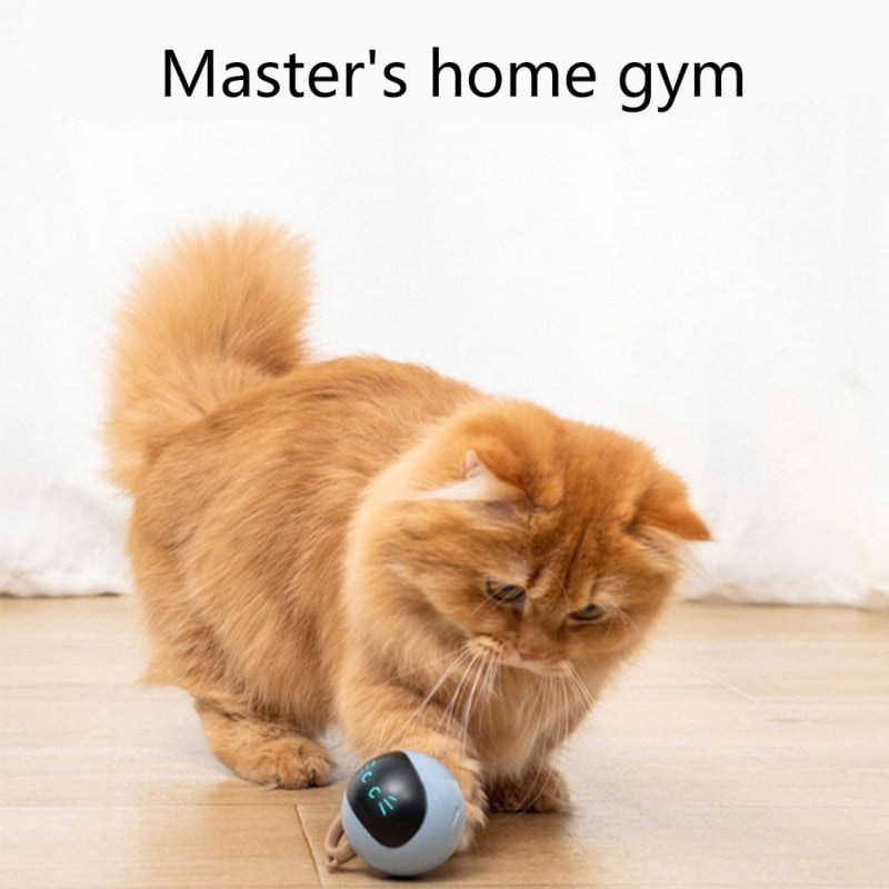 Interactive Cat Toy - Orchid Unique