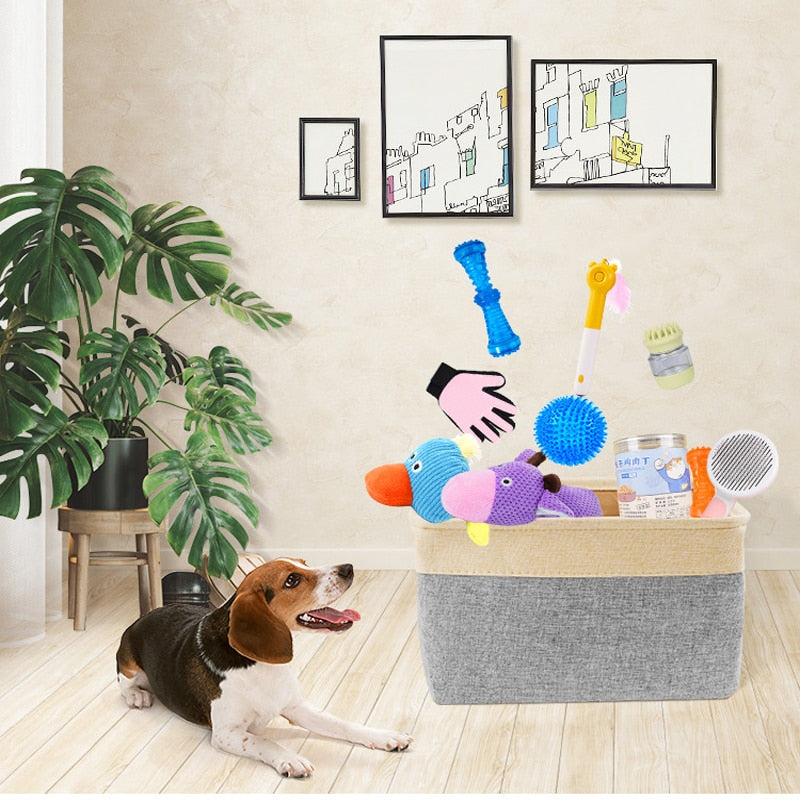 Squeaky Toys Plush Games - Orchid Unique