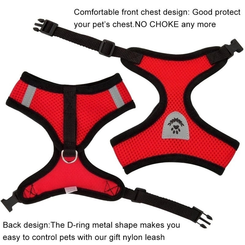 Adjustable Puppy Harness Collar - Orchid Unique