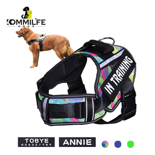 Adjustable Nylon Dog Harness - Orchid Unique
