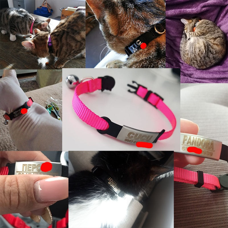 Personalized ID Tag Cat Collar Bell - Orchid Unique