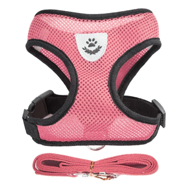 Adjustable Puppy Harness Collar - Orchid Unique